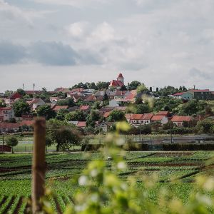otevřené sklepy